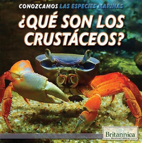 ?Que Son Los Crustaceos? (What Are Crustaceans?)