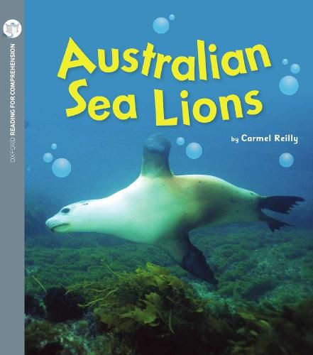 Cover image for Australian Sea Lions: Oxford Level 4: Pack of 6