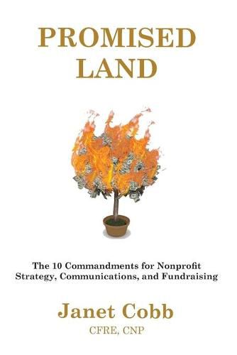 Cover image for Promised Land: The 10 Commandments for Nonprofit Strategy, Communications, and Fundraising