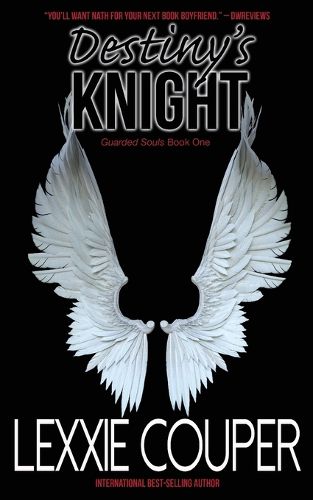 Cover image for Destiny's Knight