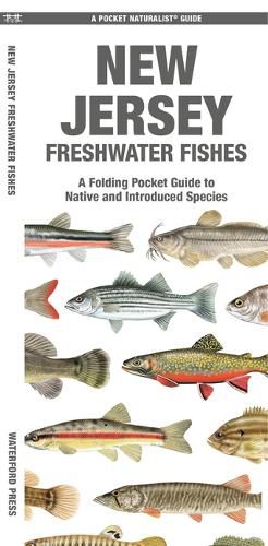 Cover image for New Jersey Freshwater Fishes