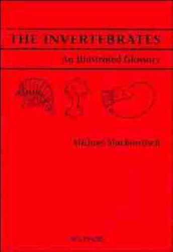 Cover image for The Invertebrates: An Illustrated Glossary