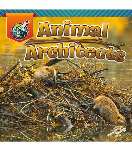Cover image for Animal Architects