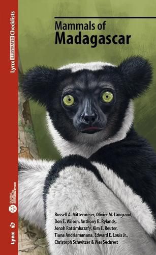 Cover image for Mammals of Madagascar