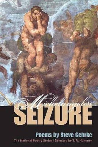 Cover image for Michelangelo's Seizure