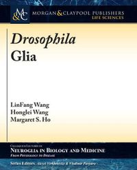 Cover image for Drosophila Glia