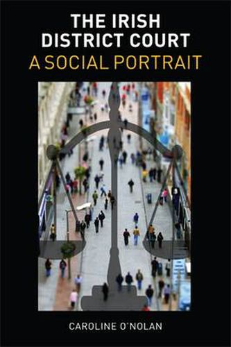 Cover image for The Irish District Court: A Social Portrait