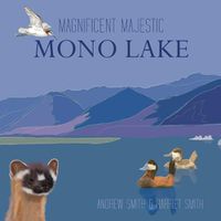 Cover image for Magnificent Majestic Mono Lake