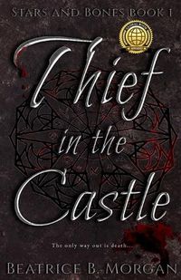 Cover image for Thief in the Castle