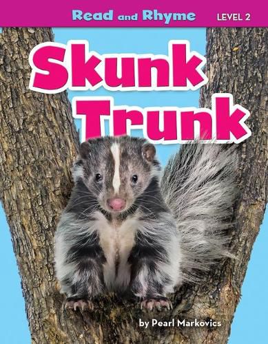 Cover image for Skunk Trunk