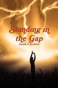 Cover image for Standing in the Gap