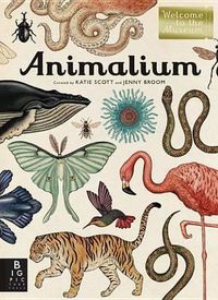 Cover image for Animalium: Welcome to the Museum