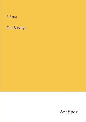 Cover image for Fire Surveys