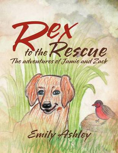 Cover image for Rex to the Rescue: The adventures of Jamie and Zack