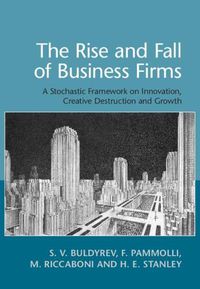 Cover image for The Rise and Fall of Business Firms: A Stochastic Framework on Innovation, Creative Destruction and Growth