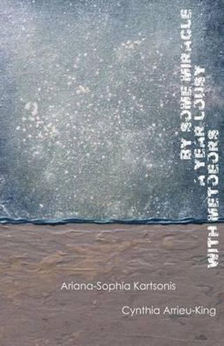 Cover image for By Some Miracle a Year Lousy with Meteors
