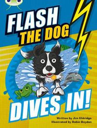 Cover image for Bug Club Independent Fiction Year 3 Brown B Flash the Dog Dives In!