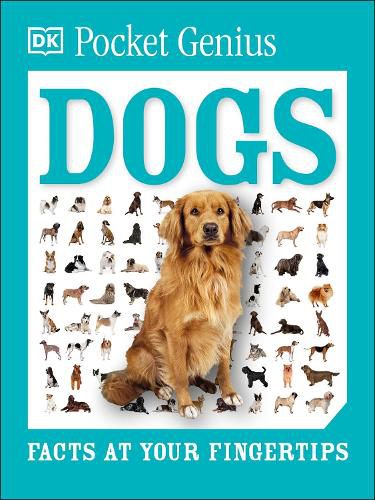 Cover image for Pocket Genius: Dogs: Facts at Your Fingertips