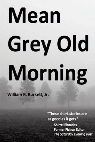 Cover image for Mean Grey Old Morning