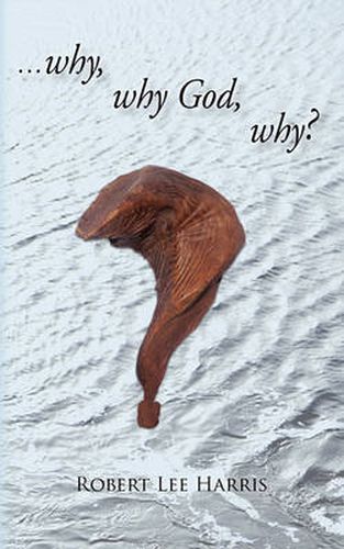 Cover image for Why, Why God, Why?