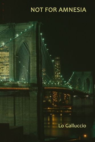 Cover image for Not for Amnesia