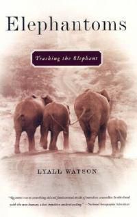 Cover image for Elephantoms: Tracking the Elephant