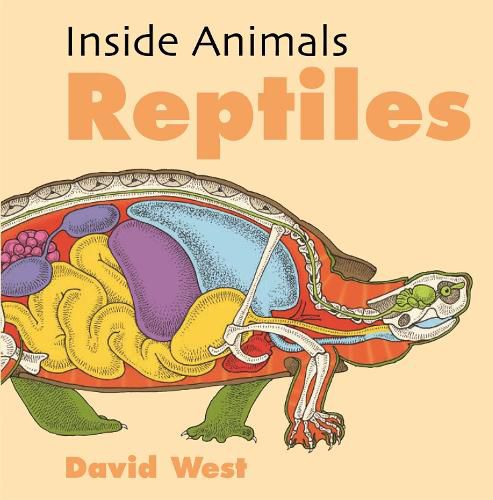 Cover image for Inside Animals: Reptiles