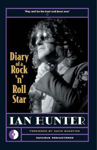 Cover image for Diary of a Rock 'n' Roll Star