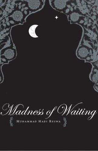 Cover image for The Madness of Waiting