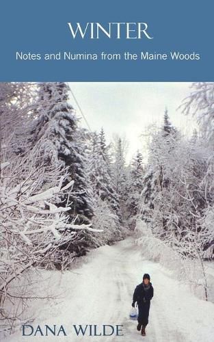 Cover image for Winter