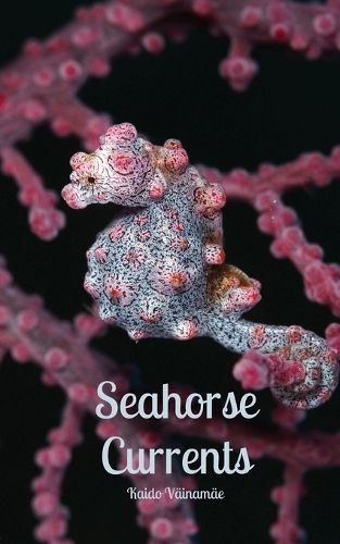 Seahorse Currents