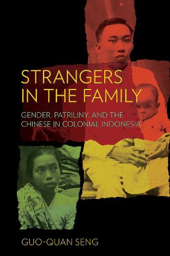 Cover image for Strangers in the Family