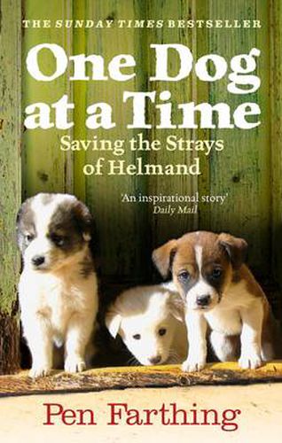 One Dog at a Time: Saving the Strays of Helmand - an Inspiring True Story