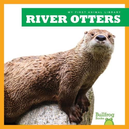 Cover image for River Otters