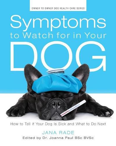 Cover image for Symptoms to Watch for in Your Dog: How to Tell if Your Dog Is Sick and What to Do Next