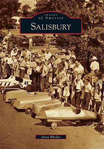 Cover image for Salisbury