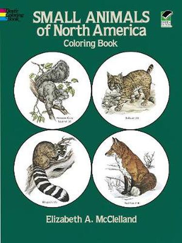 Cover image for Small Animals of North America Coloring Book