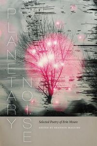 Cover image for Planetary Noise: Selected Poetry of Erin Moure