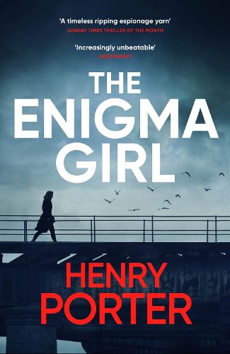 Cover image for The Enigma Girl