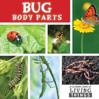 Cover image for Bug Body Parts