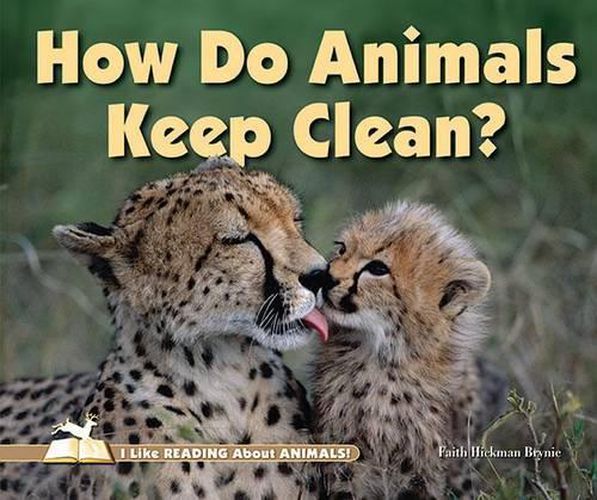 Cover image for How Do Animals Keep Clean?