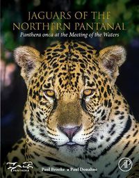 Cover image for Jaguars of the Northern Pantanal: Panthera Onca at the Meeting of the Waters