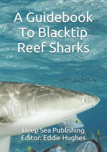 Cover image for A Guidebook To Blacktip Reef Sharks