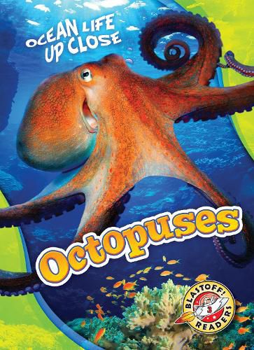 Octopuses