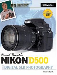 Cover image for David Busch's Nikon D500 Guide to Digital SLR Photography