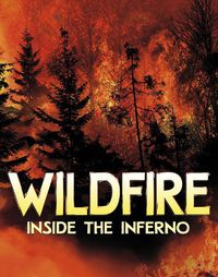 Cover image for Wildfire, Inside the Inferno
