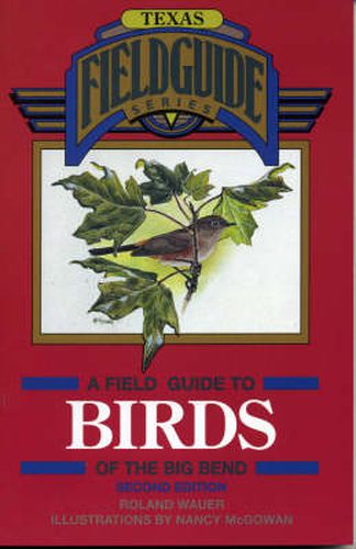 Cover image for A Field Guide to Birds of the Big Bend