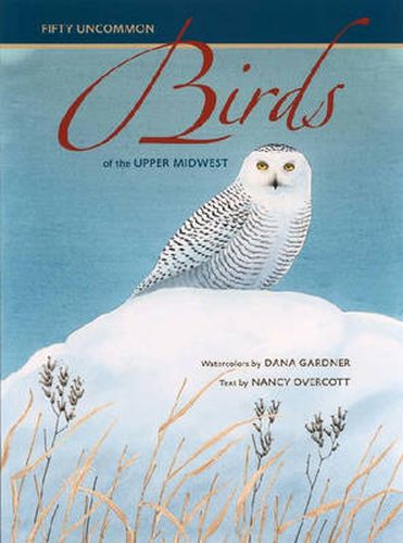 Cover image for Fifty Uncommon Birds of the Upper Midwest