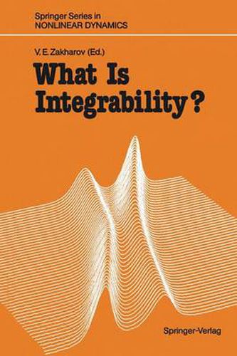 Cover image for What Is Integrability?