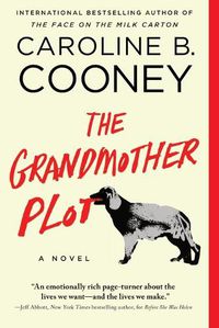 Cover image for The Grandmother Plot